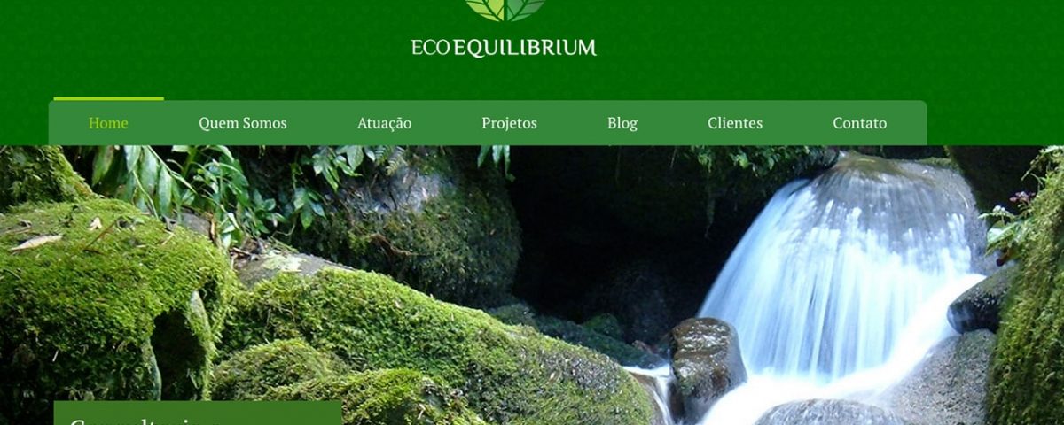 Web Site Ecoequilibrium