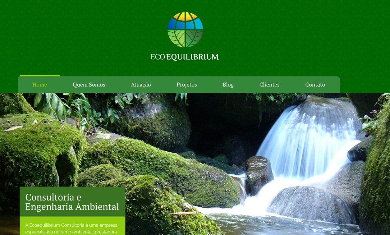 Web Site Ecoequilibrium