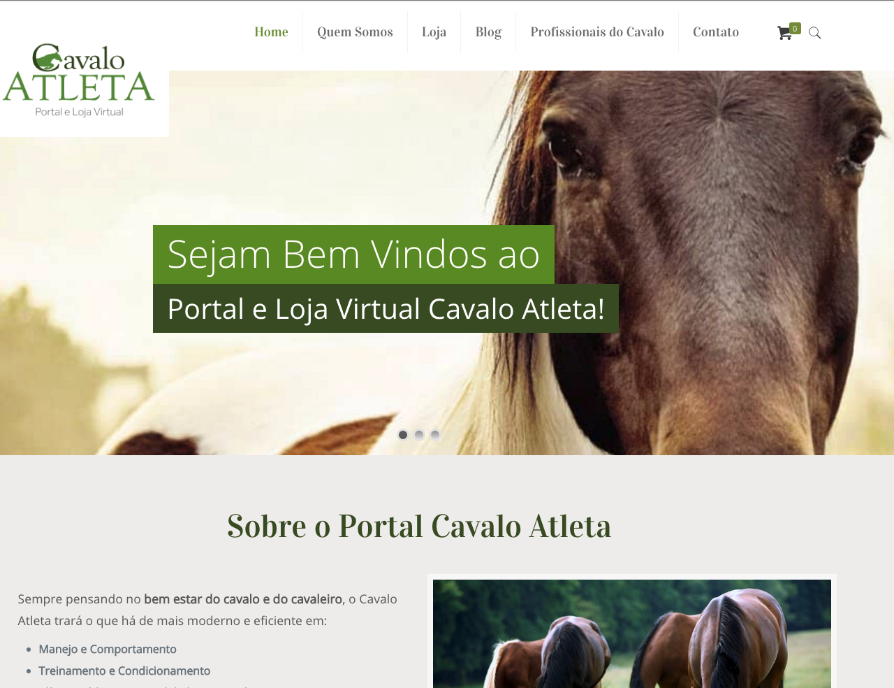 Web Site Cavalo Atleta